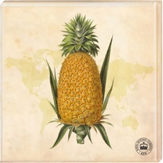 Kew Gardens - Untersetzer Motiv Ananas (2er Set)