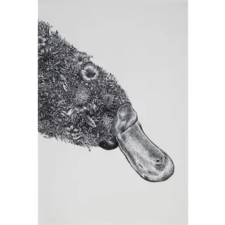 Maxwell & Williams Marini Ferlazzo Geschirrtuch mit Tiermotiv Schnabeltier 100% indische Baumwolle, weiß, 50 x 70 cm