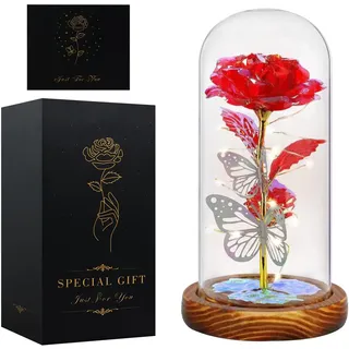 Ewige Rose im Glas,Geschenke für Frauen,Die Schöne und Das Biest Rose | Weihnachtsgeschenke Mama ,Oma ,Freundin,Ehefrau,Schwiegermutter,Romantische Geschenke für Frauen