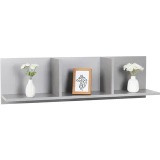 RICOO Wandregal 106 x 30 x 22 Grau, Spanplatte aus Holz, Hängereral WM014-PL, Regal Wand, Bücherregal Bilderregal Fotoregal Küchenregal Hängend Wandboard Würfelregal Schweberegal