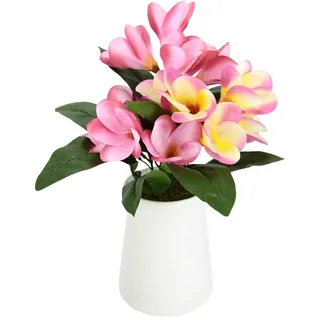 Frangipani im Topf Plumeria Blütenbusch Künstlich Wachsblume Tischdeko Mittelstück Hochzeitsdeko Kunstblumen Zimmerpflanze Kunstpflanze Blumen Unechte Deko Blütenpflanze Blumenschmuck, rosa