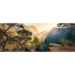 Ravensburger Puzzle 12000045 - Yosemite Park - 1000 Teile Puzzle für Erwachsene und Kinder ab 14 Jahren, Puzzle mit Landschaft und Natur