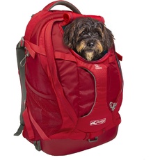 Kurgo G-Train Hunderucksack, Mit integriertem Haustierfach, Wasserfester Boden, Für Haustiere bis zu 11 kg, Rot, 36x24x52 cm (1er Pack)