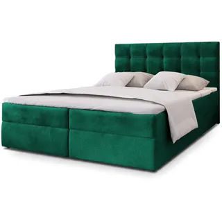 masseno GLOS K 160 x 200 cm Grün
