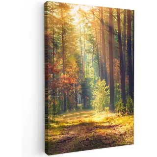 MuchoWow Leinwandbild Wald - Herbst - Bäume Deko XXL 80x120 cm , Dunkelgrün , Textil , Kiefer , Abstrakt , Rechteckig , 80x120 cm , FSC 100% , gerahmt , Bilder & Rahmen, Bilder, Leinwandbilder