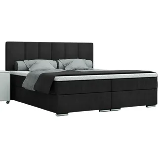 FURMEB24 - LIVIO 200 x 200 cm- Boxspringbett mit zwei Bettksten - Polsterbett mit Holzrahmen - Doppelbett mit hohem Kopfteil - Monolith - Schwarz - Schwarz