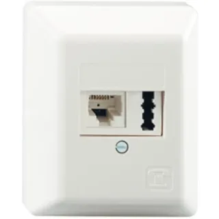 Rutenbeck 13311101 UAE/TAE-Anschlussdose 2-fach, Aufputz, 2 x 6-polig, 2 x 6 Schraubkontakte reinweiß