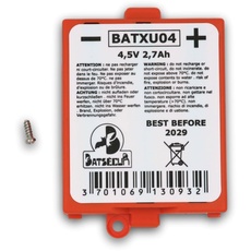 BATSÉCUR - Alarmbatterie BATXU04 Kompatibel mit RXU04X für DAITEM Hager LOGISTY ATRAL - 4.5V 2.7Ah