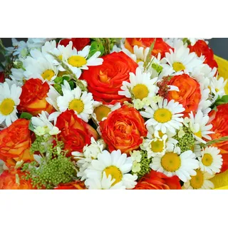 Papermoon »BLUMEN-STRAUß-ROSEN GÄNSEBLÜMCHEN PFLANZEN ORCHIDEEN«, bunt,