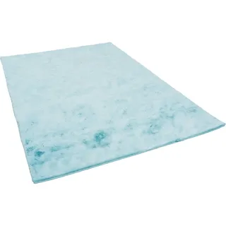 Pergamon Luxus Super Soft Fellteppich Plush Türkis 120x170cm