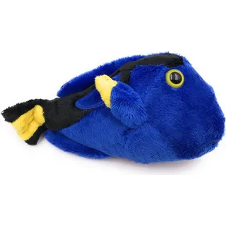 Onwomania Plüschtier Kuscheltier Stoff Tier Doktorfisch Seebader blau Fisch 18 cm - blau
