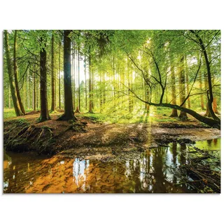 ARTland Wanddeko Glasbilder Wandbild Glas Bild einteilig 60x45 cm Querformat Wald Natur Landschaft Bäume Bach Sonne Frühling T9IO