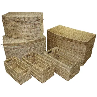 Premier Housewares Aufbewahrungskörbe für Wasserhyazinthe-6er Set, Eisen, Wasserhyazinthe, Natürlich, 43x69x41