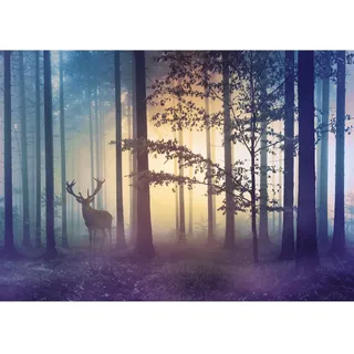 Runa Art Fototapete Wald Hirsch Nebel 352 x 250 cm Vlies Tapeten XXL Moderne Wandtapete Wohnzimmer Schlafzimmer Gelb Blau 9338011a