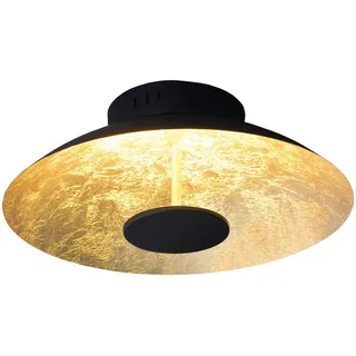 NÄVE Firenze (1265458)