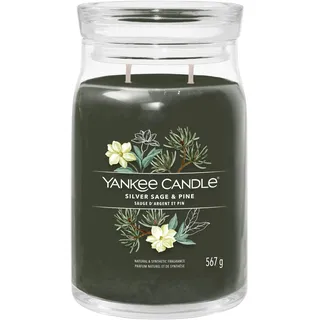 Yankee Candle Große Signature Kerze SILVER SAGE & PINE 567 g