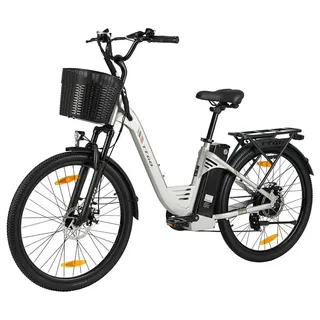 E-Bike Mountainbike - C2 PRO - Lithium-Akku 36V 18Ah - Bürstenloser Motor 250W - Reichweite 60+ km - Max. 25 km/h - Räder 66 cm - Silber