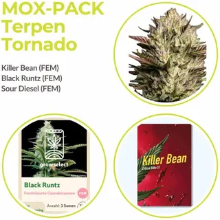 Mox Pack Terpen-Tornado Collection | Feminisiert | 9 Samen