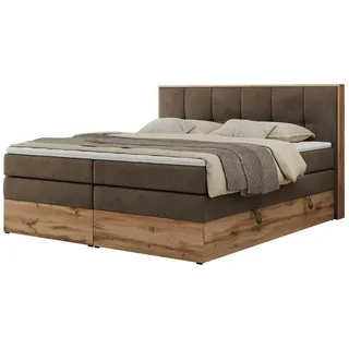 MKS Meble Albero 1 King 160 x 200 cm H3 Braun
