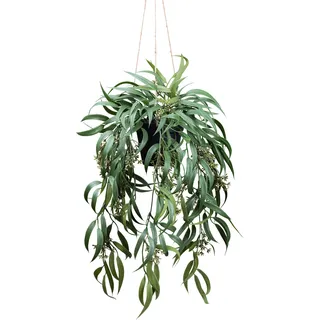 Kunstpflanze CREATIV GREEN "Eukalyptus Globolus", grün, H:65cm, Kunstpflanzen, Kunstpflanze, mit Fruchtblüten