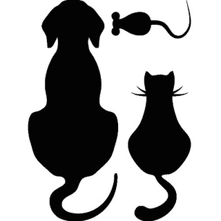 Ambiance-Live Wandtattoo Hund, Katze und Maus - 45 X 45 cm, Schwarz