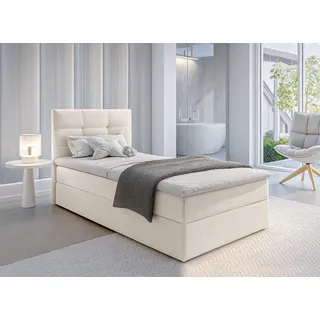 AX LIVING Boxspringbett 80x200 cm Geceteni Bett Beige Gasdruckfedern - Beige