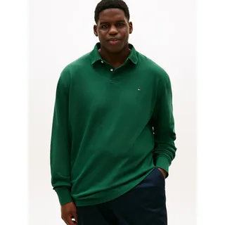 Langarm-Poloshirt "BT-1985 REGULAR LS POLO-B", Herren, Gr. 4XL, ornamental grün, Jersey, Obermaterial: 96% Baumwolle, 4% Elasthan, TOMMY HILFIGER BIG & TALL, Shirts Langarm-Poloshirt, in Großen Größen