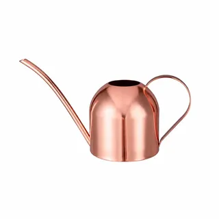 IMEEA 1L Gießkanne,Blumengießkanne Edelstahl mit Langer Auslauf Moderner Gießkanne für Pflanzen Zimmerpflanze Sukkulenten (Rosa)