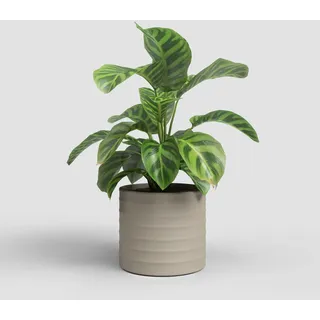 Artevasi Chloe Topf, Blumentopf Mit horizontalen Linien, dekorativer Topf, Handgefertigte Keramik, Beige, 21cm