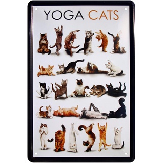 WOGEKA ART Retro Blechschild - Yoga cats - witzige Katzenrassen Übersicht - witziger Spruch als Geschenk-Idee Geburtstag Weihnachten Dekoration 20x30 cm Vintage-Design Metall 180