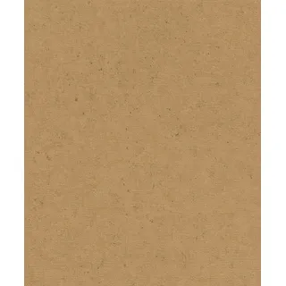 Rasch Textil Vliestapete Concrete 10,05 m x 0,53 m 520897 Braun