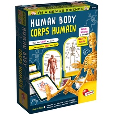 Lisciani I'm A Genius Human Anatomy Learning Kit with Illustrated Cards and Plastic Skeleton -EX48960