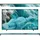 QE55Q7F 55" 4K QLED TV