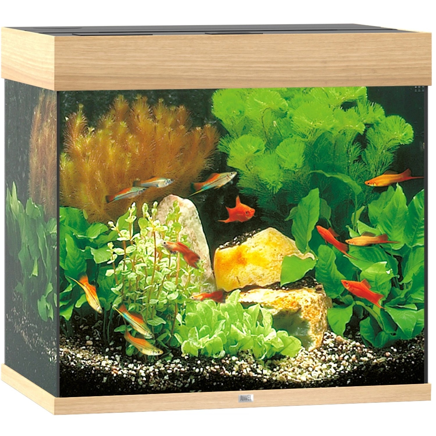 Bild von Lido 120 LED Aquarium-Set helles Holz,