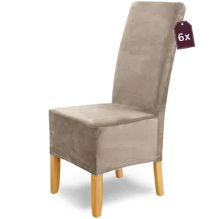 Scheffler Home Stuhlhussen Puma Velano Stein-Beige 6er Set – Elastische waschbare Stuhlbezüge aus Samt für Esszimmerstühle und Polsterstühle – Öko-Tex Zertifiziert