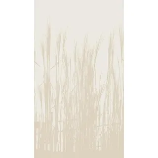 Livingwalls Fototapete Blumen in Beige - hochwertige Vliestapete 398781 mit Motiv auf 1,59 m x 2,80 m - Made in Germany
