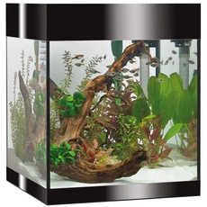 Askoll Pure LED Aquarium, 44 l, Schwarz