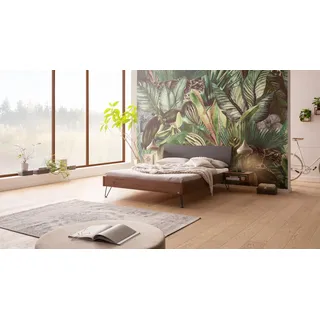 Hasena Massivholzbett, Kopfteil gepolstert Lugano, Farbe: Nussbaum, geölt, Bezugsfarbe: Kul smoke, Metallfarbe: Anthracit, verschiedene Größen - 20 cm/160 x 210 cm