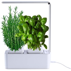 amzWOW Clizia Smart Garden - hydroponische anzuchtsysteme mit led pflanzenlampe - Automatisches Timer Keimungs Kit -Wassermangelalarm, Ziehen Sie Ihre eigenen aromatischen Kräuter zuhause (Weiß)