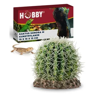 HOBBY Terraristik Kaktus Sonora M I 15 x 15 x 13 cm I Dekorative Terrarienpflanze I Realistische Wüstenpflanze für naturnahe Gestaltung I Terrarium Dekoration aus hochwertigem Material gefertigt