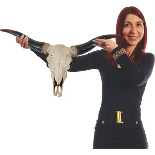 Deko Schädel 75cm HWC-A14, Polyresin Stier Bulle Longhorn Kopf Trophäe, In-/Outdoor natur - Weiß