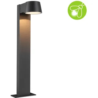 Paulmann Wegeleuchte Aluminium 50,0 cm 1 Stk. anthrazit