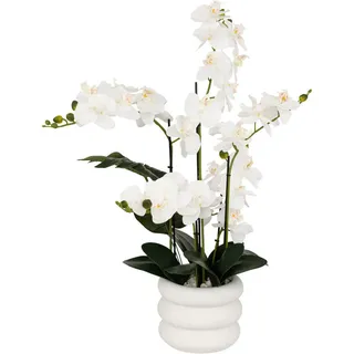 Atmosphera Createur d ́interieur Künstliche Orchidee Mick 80 cm , Weiß , Kunststoff , 80 cm , Dekoration, Blumen & Blumentöpfe, Kunstblumen