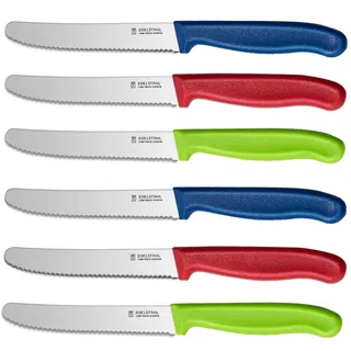 targzier Frühstücksmesser 6 Stück,Messerset zum Schneiden,Kunststoffgriff Bunt Brötchenmesser,Hochwertige Tafelmesser Wellenschliff,Edelstahl Tomatenmesser,Scharfe Messer für Brotzeit(Rot&Blau&Grün)