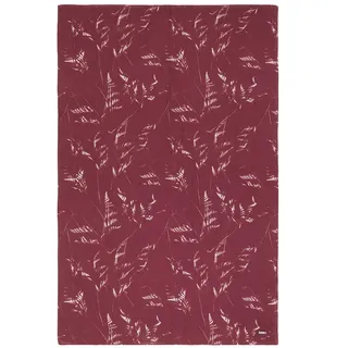 Armani Exchange Xw001484_af16978 Schal - Blossom Print - One Size