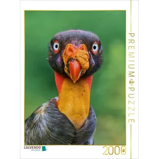 Calvendo Puzzle Auge in Auge mit dem Königsgeier - Wildes Costa Rica 2000 Teile Lege-Größe 90x67cm Foto-Puzzle für glü