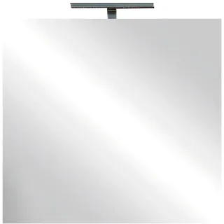 WELLTIME »Neutral« Spiegel, mit Beleuchtung LED, Breite 60, Höhe 75 cm,