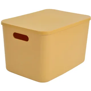 homéa Box mit Deckel aus Kunststoff 35 x 25 x 21,5 cm 1-tlg. bronze