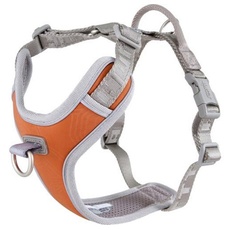 Bild Venture No-Pull Harness 80-100 cm Buckthorn