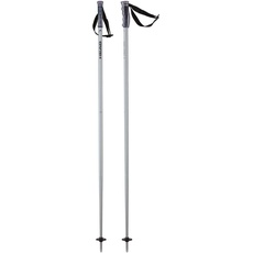 HEAD Unisex – Adult Multi Skistöcke, Brushed Aluminium/schwarz, 120
